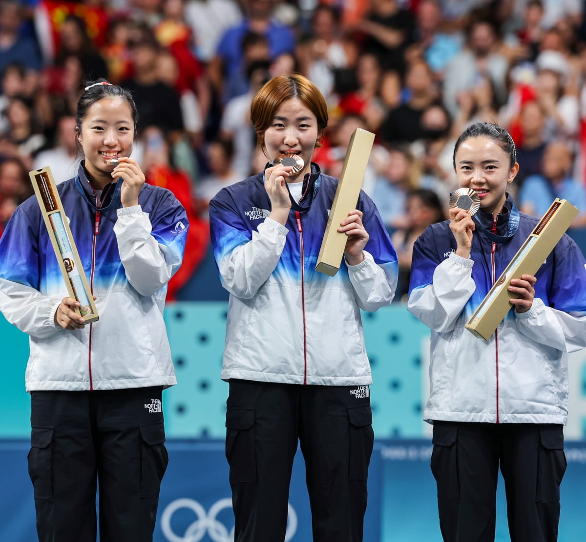 ⚽德甲战报：吉滕斯建功，凯恩伤退，穆西亚拉头槌救主，多特1-1战平拜仁